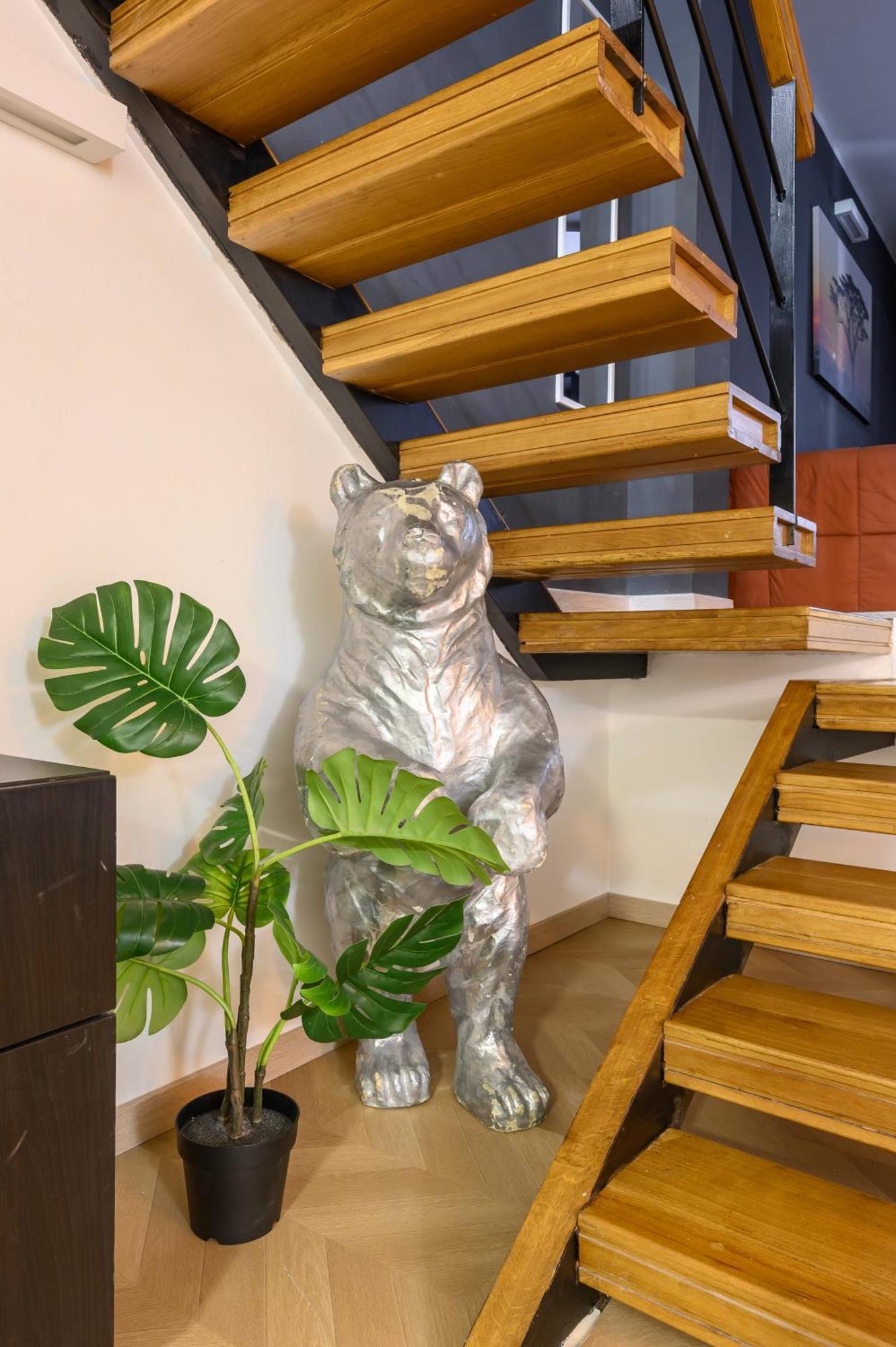 Orso Roma